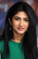 Actress Roshini Prakash Photoshoot Stills