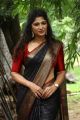 Actress Roshini Prakash Saree Images @ Jada Movie Audio Launch