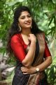 Jada Movie Actress Roshini Prakash Silk Saree Images