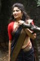 Jada Movie Actress Roshini Prakash Silk Saree Images