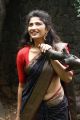 Actress Roshini Prakash Silk Saree Images @ Jada Audio Launch