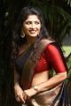 Actress Roshini Prakash Saree Images @ Jada Movie Audio Launch