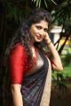 Actress Roshini Prakash Saree Images @ Jada Movie Audio Launch