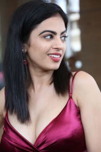 Actress Roshni Sahota Photos @ Nidurinchu Jahapana Press Meet