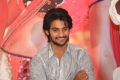 Hero Aadi @ Rough Movie Audio Success Meet Stills