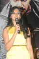 Actress Rakul Preet Singh at Rough Movie Logo Launch Photos