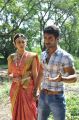 Rakul Preet Singh, Aadi @ Rough Movie Shooting Spot Stills