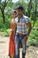 Rakul Preet Singh, Aadi @ Rough Movie Shooting Spot Stills