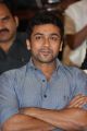 Actor Suriya @ Rough Movie Audio Launch Stills