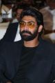 Rana Daggubati @ Rough Movie Audio Launch Stills