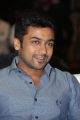 Actor Suriya @ Rough Movie Audio Launch Stills