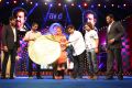 Rowdy Audio Launch Photos