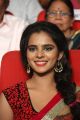 Manasa Himavarsha @ Rowdy Fellow Movie Audio Launch Stills