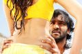 Vishnu Manchu, Shanvi Srivastava in Rowdy Movie Hot Song Stills