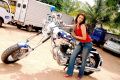 Telugu Actress Saloni in Rowdy Simha Movie Stills