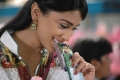 Shriya Saran Jeeva Rowthiram Photos Images