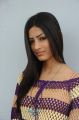 Ruby Parihar in Full Sleeve Knitted Dress