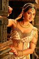 Actress Anushka Shetty in Rudrama Devi Movie Stills