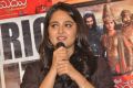 Anushka @ Rudrama Devi Movie Success Meet Stills