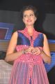 Actress Hamsa Nandini @ Rudramadevi Audio Launch @ Warangal Photos