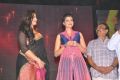 Rudramadevi Movie Audio Launch @ Warangal Photos