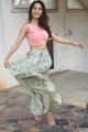 Actress Ruhani Sharma  Interview Pics about Chi La Sow Movie