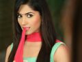 Tamil Actress Ruhani Sharma Photoshoot Stills