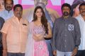 C Kalyan, Vedhika, Balakrishna @ Ruler Movie Success Meet Stills