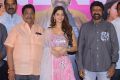 C Kalyan, Vedhika, Balakrishna @ Ruler Movie Success Meet Stills