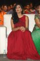 Anisha Ambrose @ Run Movie Audio Launch Stills