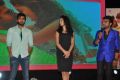 Run Raja Run Movie Audio Launch Stills