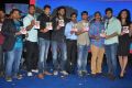 Run Raja Run Movie Audio Launch Stills