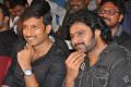 Run Raja Run Movie Audio Launch Stills