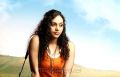 Tamil Actress Rupa Manjari Hot Photo Shoot Pics