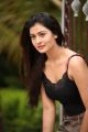 RX 100 Movie Actress Payal Rajput Hot Pics