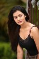 RX 100 Actress Payal Rajput Hot Pics in Black Dress