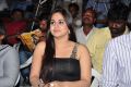 Aksha at Rye Rye Movie Platinum Disc Function Photos