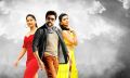 Anushka, Suriya, Shruti Haasan in S3 Movie Latest Stills