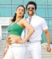 s3-yamudu-3-movie-pics-suriya-shruti-haasan-9344307