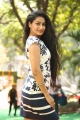 Actress Saafi Kaur Photos @ Pudingi No.1 Movie Opening