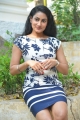 Telugu Actress Saafi Kaur Photos @ Pudingi No.1 Movie Launch