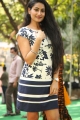 Pudingi No.1 Movie Heroine Saafi Kaur Photos