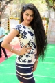 Telugu Actress Saafi Kaur Photos @ Pudingi No.1 Movie Launch