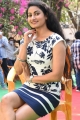 Telugu Actress Saafi Kaur Photos @ Pudingi No.1 Movie Launch