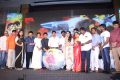 Saamy Square Movie Audio Launch Stills