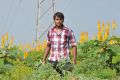 Actor Ajmal Khan in Saattai Movie New Stills