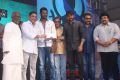 Sabash Naidu Movie Launch Photos