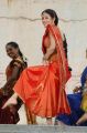 Maithri Movie Actress Sada in Saree Hot Stills