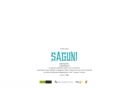 Saguni Movie Logo Wallpapers