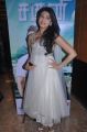 Actres Pranitha at Saguni Movie Press Meet Stills